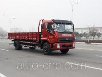 Foton BJ1143VJPFK-H3 cargo truck