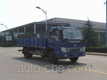 Foton BJ1143VKJFA-A cargo truck