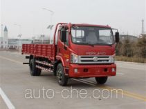 Foton BJ1143VKJFG-H1 cargo truck