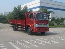 Foton BJ1143VKPFG-H2 cargo truck
