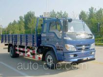 Foton BJ1145VKPED-1 cargo truck