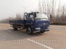 Foton BJ1155VKPEG-1 cargo truck