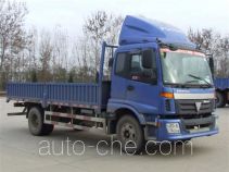 Foton Auman BJ1163VKPFG-XA cargo truck
