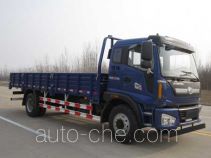 Foton BJ1163VKPFK-4 cargo truck