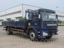 Foton BJ1165VKPEK-1 cargo truck