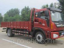 Foton BJ1165VKPFG-2 cargo truck