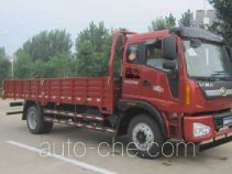 Foton BJ1165VKPFG-2 cargo truck