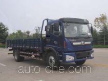 Foton BJ1165VKPHK-3 cargo truck