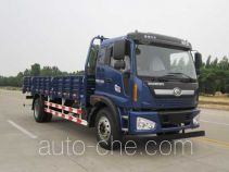 Foton BJ1165VKPHK-1 cargo truck