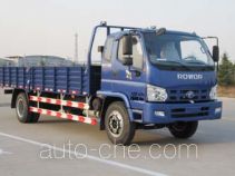 Foton BJ1168VLPFK-1 cargo truck