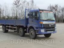 Foton Auman BJ1253VNPHP cargo truck