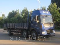 Foton BJ1255VNPHE-3 cargo truck