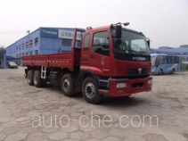 Foton Auman BJ1319VNPJF-3 cargo truck