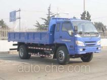 Foton BJ3093DDPFD-S dump truck