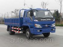 Foton BJ3103DGPEA-4 dump truck