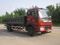 Foton BJ3165DJPFK-1 dump truck