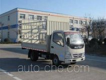 Foton BJ5031V3BB4-4 грузовик с решетчатым тент-каркасом