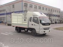 Foton BJ5031V3CB4-4 грузовик с решетчатым тент-каркасом