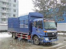 Foton BJ5163CCY-XB грузовик с решетчатым тент-каркасом