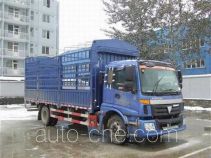 Foton Auman BJ5163CCY-XB грузовик с решетчатым тент-каркасом