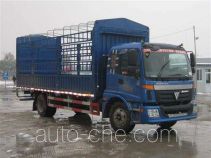 Foton BJ5163CCY-XC грузовик с решетчатым тент-каркасом