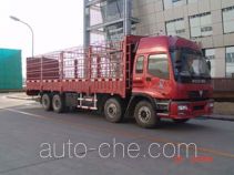 Foton Auman BJ5249VMCJC-1 грузовик с решетчатым тент-каркасом