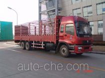 Foton Auman BJ5258VMCJP-1 грузовик с решетчатым тент-каркасом