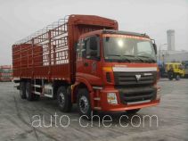 Foton BJ5313VPCJJ-10 грузовик с решетчатым тент-каркасом