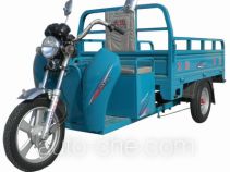 Dayun DY3000DZH electric cargo moto three-wheeler