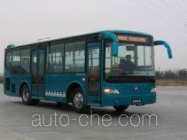 Ankai HFF6903GK51 city bus