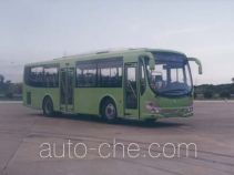 Hongqiao HQK6101G1 city bus