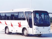 Zhongtong LCK6802H-1 автобус