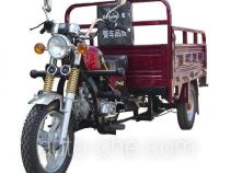 Landun LD110ZH-5 cargo moto three-wheeler