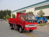 Dongfanghong LT3041PF1D dump truck