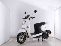 Luyuan LY1500DT-5 electric scooter (EV)