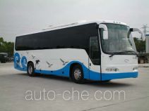 Dongyu Skywell NJL6110 автобус