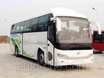 Dongyu Skywell NJL6118BEV1 electric bus