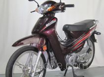 Qisheng QS110 underbone motorcycle