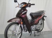 Qisheng QS110-C underbone motorcycle