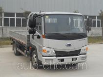 Karry SQR1045H01D cargo truck