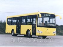 Shangrao SR6891HB city bus