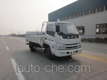 Shifeng SSF1040HDJ41-1 cargo truck