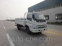 Shifeng SSF1040HDJ54-3 cargo truck