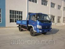 Shifeng SSF1080HHP64 cargo truck