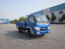 Shifeng SSF3041DDP54 dump truck
