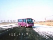 Dejinma STL6760-2 bus
