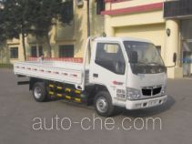 Jinbei SY1043DLCS cargo truck