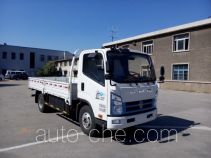 Jinbei SY1060DEV1S electric cargo truck