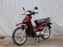 Dongyi TE110-C underbone motorcycle