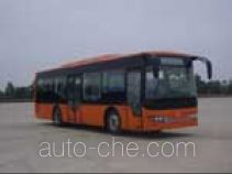 CSR Times TEG TEG6101GJ city bus